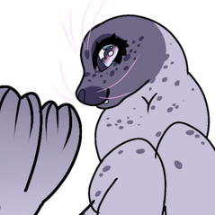 A photo of a baby harp seal's face from the front